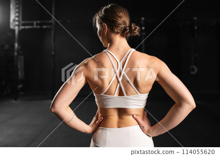 Rear view of young muscular woman in gym. Routine workout for physical and mental health. 114055620