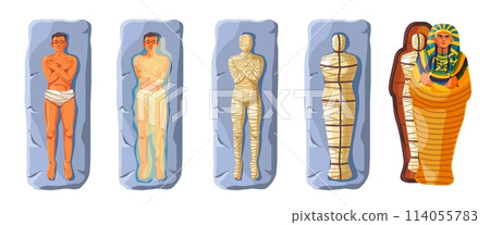 Mummification process. Painting egyptian ancient mummy in pharaoh sarcophagus, embalming bury dead ritual egypt religion, history death tutankhamun, recent vector illustration 114055783
