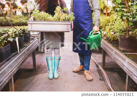 Close up on legs of gardener and customer holding watering can and plastic crate, plant tray. Small greenhouse business. 114055821