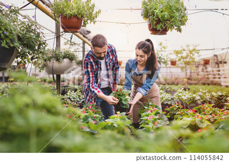 Female gardener helping customer to choose right flowers and seedlings for his garden. Small greenhouse business. Female gardener helping customer to choose right flowers and seedlings for his garden. Small greenhouse business. 114055842