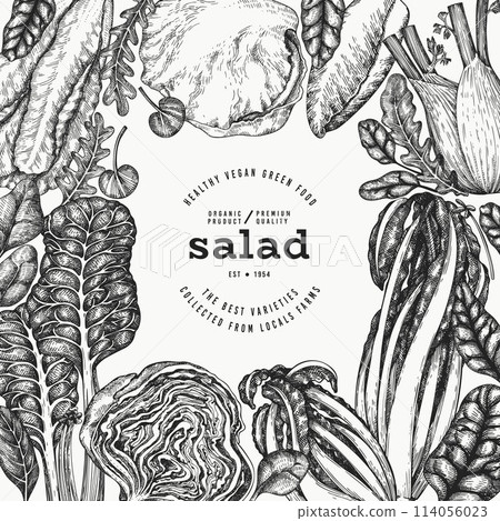 Green Vegetable Design Template. Vector Hand Drawn Healthy Leaf Salad Banner. Vintage Style Menu Illustration. 114056023