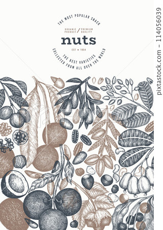 Hand Drawn Nuts Branch And Kernels Template. Organic Seed Vector Design. Retro Nut Illustration. Engraved Style Botanical Banner. Hand Drawn Nuts Branch And Kernels Template. Organic Seed Vector Design. Retro Nut Illustration. Engraved Style Botanical Banner. 114056039