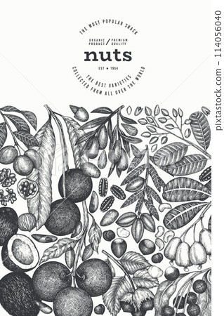 Hand Drawn Nuts Branch And Kernels Template. Organic Seed Vector Design. Retro Nut Illustration. Engraved Style Botanical Banner. Hand Drawn Nuts Branch And Kernels Template. Organic Seed Vector Design. Retro Nut Illustration. Engraved Style Botanical Banner. 114056040