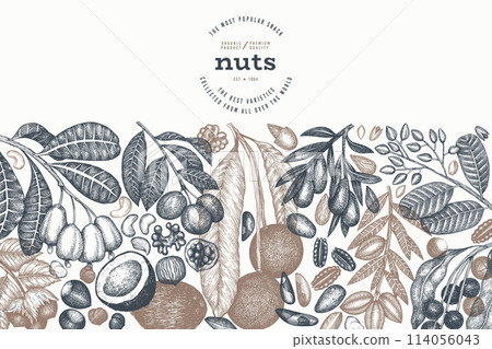 Hand Drawn Nuts Branch And Kernels  Template. Organic Seed Vector Design. Retro Nut Illustration. Engraved Style Botanical Banner. 114056043