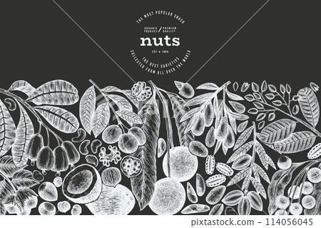 Hand Drawn Nuts Branch And Kernels  Template. Organic Seed Vector Design. Retro Chalk Board Nut Illustration. 114056045