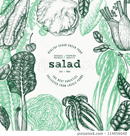 Green Vegetable Design Template. Vector Hand Drawn Healthy Leaf Salad Banner. Vintage Style Menu Illustration. 114056048