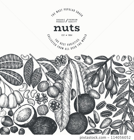 Hand Drawn Nuts Branch And Kernels  Template. Organic Seed Vector Design. Retro Nut Illustration. Engraved Style Botanical Banner. 114056052