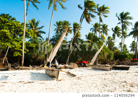 Simple wooden boats of local african people sitting ashore near tall palm trees Simple wooden boats of local african people sitting ashore near tall palm trees 114056294