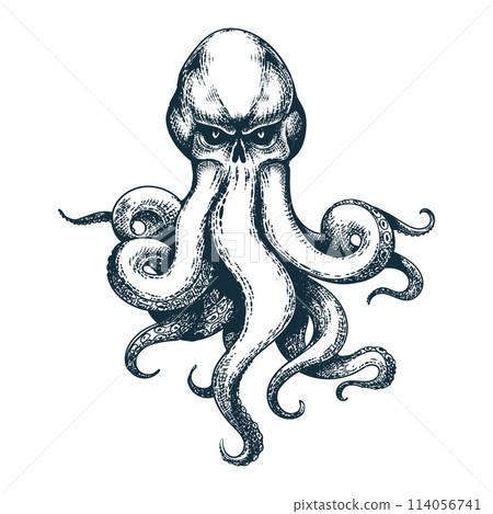 Octopus with skull head 114056741