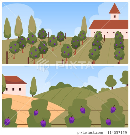 Vineyard landscapes and farmhouse vector set Vineyard landscapes and farmhouse vector set 114057159