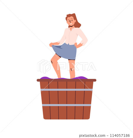 Vector illustration of a woman trampling grapes. Isolated out. Vector illustration of a woman trampling grapes. Isolated out. 114057186
