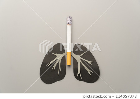 World no tobacco day concept. Unhealthy lung organ with cigarettes or tobacco on gray background. Lung diseases caused by smoking include COPD, asthma attack and lung cancer. World no tobacco day concept. Unhealthy lung organ with cigarettes or tobacco on gray background. Lung diseases caused by smoking include COPD, asthma attack and lung cancer. 114057378