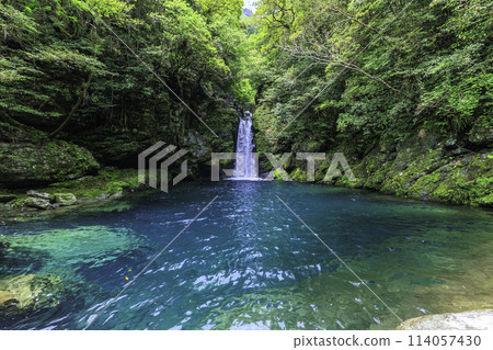"Niyodo Blue, Kochi Prefecture" Fresh green Nikobuchi Falls and the waterfall basin 114057430