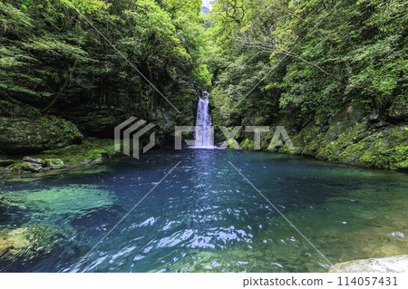 "Niyodo Blue, Kochi Prefecture" Fresh green Nikobuchi Falls and the waterfall basin 114057431