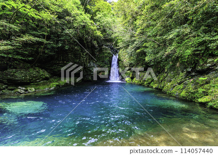 "Niyodo Blue, Kochi Prefecture" Fresh green Nikobuchi Falls and the waterfall basin 114057440