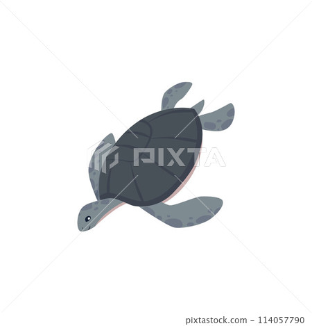 Cute sea turtle vector icon, cartoon grey tortoise character, ocean wild reptile animal swimming, exotic amphibian pet 114057790