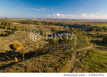 Top bird eye view of country road and yellow rapeseed field. Aerial view landscape. Czech Republic 114057952