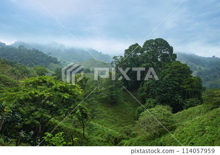 Landscape of Sierra Nevada mountains, Colombia wilderness landscape. 114057959