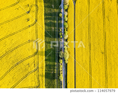 Top bird eye view of country road and yellow rapeseed field. Aerial view landscape. Czech Republic Top bird eye view of country road and yellow rapeseed field. Aerial view landscape. Czech Republic 114057979