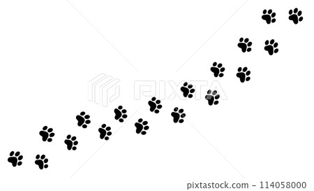 Black and white dog footprints cat footprints illustration | icon 114058000