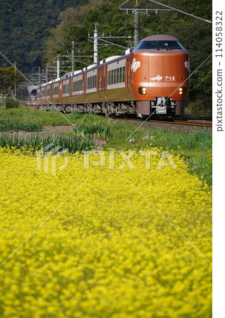 The new Yakumo express train runs through a field of rapeseed flowers The new Yakumo express train runs through a field of rapeseed flowers 114058322