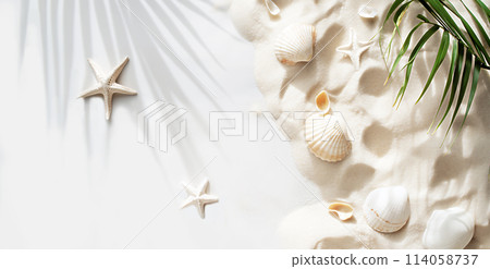 A soothing wallpaper of white sand and shells 114058737