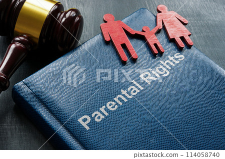 Book parental rights, figurines and gavel. Book parental rights, figurines and gavel. 114058740