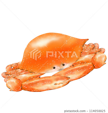 Grilled blue crab is a favorite menu of many people. Grilled blue crab is a favorite menu of many people. 114058825