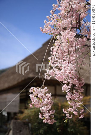 Spring Ouchi inn Spring Ouchi inn 114059073