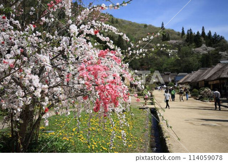 Spring Ouchi inn Spring Ouchi inn 114059078