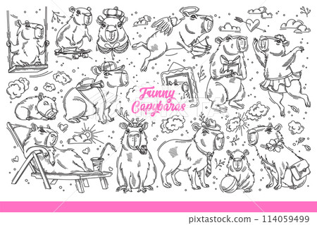 Funny copybars living in swamps, relaxing or having fun in fresh air. Hand drawn doodle. 114059499