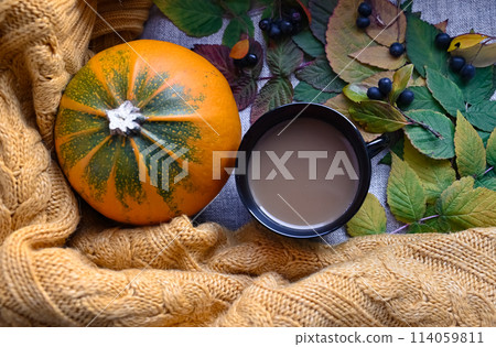 Autumn still life. The concept of home comfort. 114059811