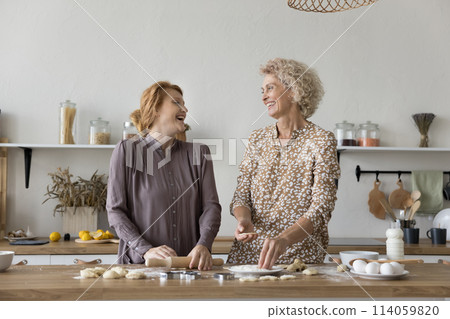 Woman and grownup daughter talking laughing while cooking in kitchen 114059820