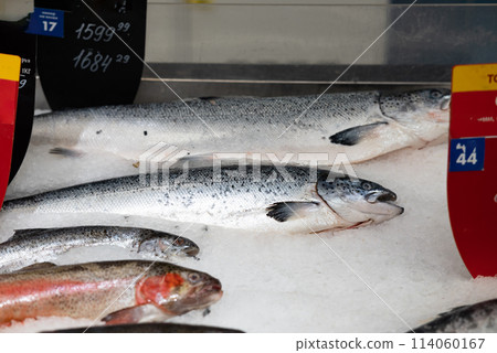 Fresh chilled salmon lies on ice. Shop window with fish products. 114060167