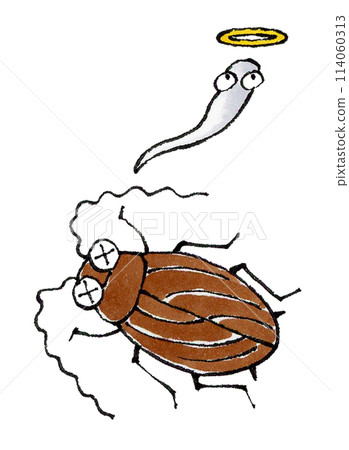 死蟑螂 死蟑螂 114060313