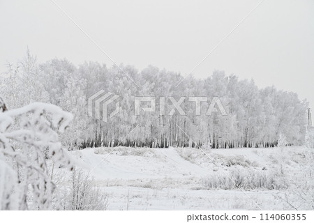 A snow-covered road in a winter forest. A snow-covered road in a winter forest. 114060355