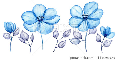 watercolor set of transparent flowers and leaves. transparent blue flowers in pastel colors. elements isolated on white background. design for wedding 114060525
