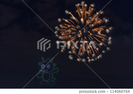 Saitama City 20th Anniversary Fireworks Festival Saitama Prefecture 114060784