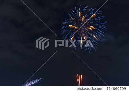 Saitama City 20th Anniversary Fireworks Festival Saitama Prefecture 114060799