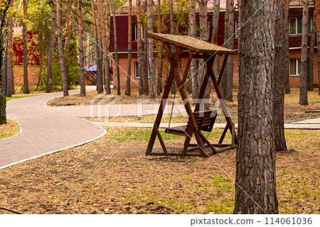 Wooden swing in the autumn forest. The concept of recreation. Autumn landscape. 114061036