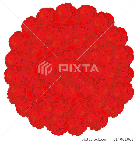 Illustration of a round carnation Illustration of a round carnation 114061065