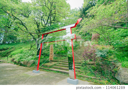 Shrine on the top of the mountain Shrine on the top of the mountain 114061289