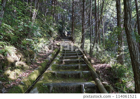 通往高根城的道路 114061521