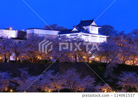 Tsuyama Castle - Bitchu turret and illuminated cherry blossoms at night 114061537