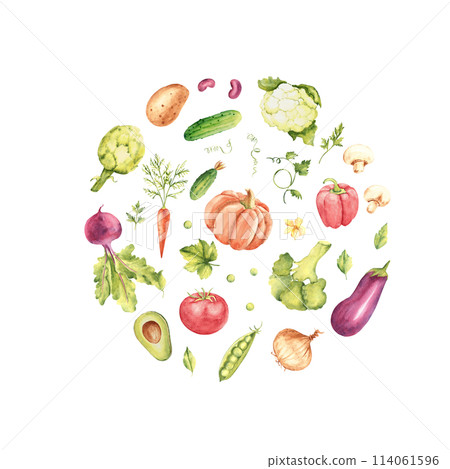 Watercolor vegetables set in a circle. Cucumber, tomato and avocado, paprika. Kidney beans, potato and onion, eggplant, champignon mushrooms and parsley plant. Broccoli and cauliflower. Artichoke and Watercolor vegetables set in a circle. Cucumber, tomato and avocado, paprika. Kidney beans, potato and onion, eggplant, champignon mushrooms and parsley plant. Broccoli and cauliflower. Artichoke and 114061596