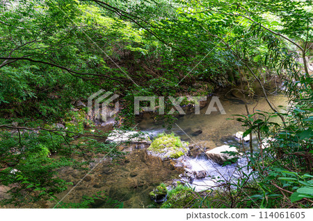 [Natural Monument] Oga no Oshibe 4 Takahashi City, Okayama Prefecture 114061605