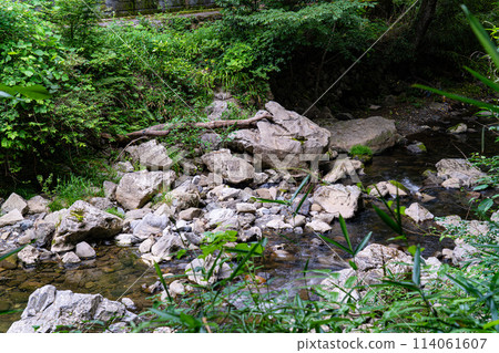 [Natural Monument] Oga no Oshibe 6 Takahashi City, Okayama Prefecture 114061607