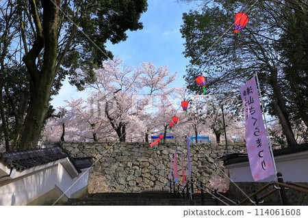 鶴山公園 津山櫻花節 鶴山公園 津山櫻花節 114061608