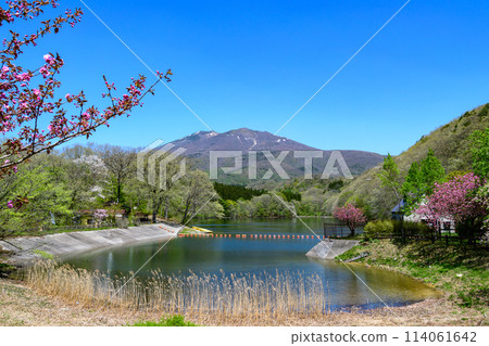 Lake Choro in Zao: Cherry blossoms, fresh greenery and remaining snow Lake Choro in Zao: Cherry blossoms, fresh greenery and remaining snow 114061642