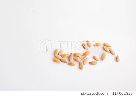 馬庫瓦葫蘆種子 馬庫瓦葫蘆種子 114061835